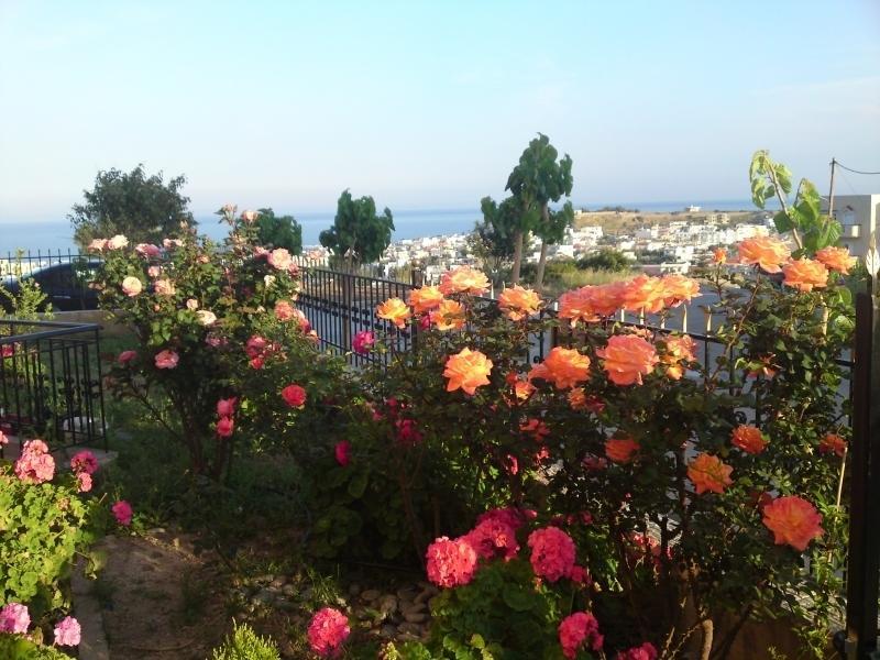דירות פליאוחורה Margarita Αpartments Sea View חדר תמונה
